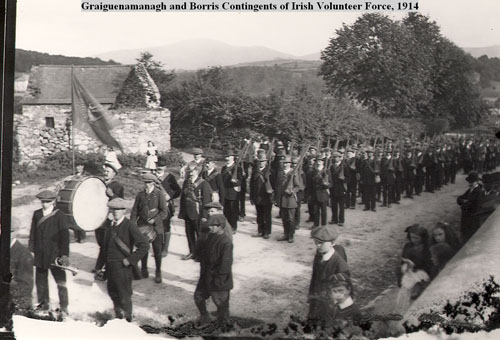 Graiguennamanagh and Borris Contingents of Irish Volunteer Force, 1914